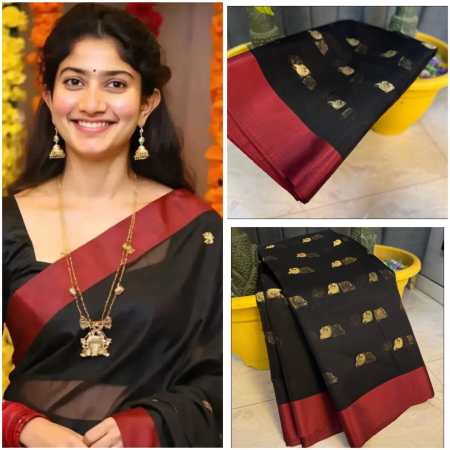 Banarasi Kora Organza Saree - Black Colour