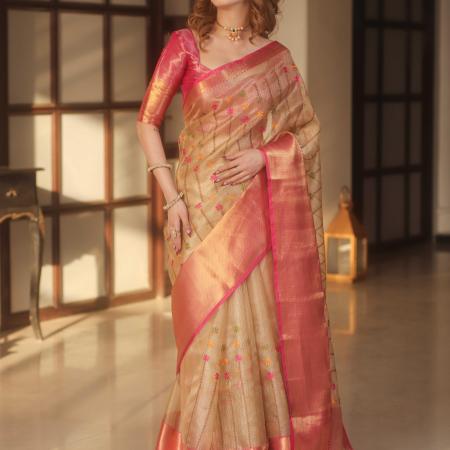 Tissue Embroidery Saree - Golden Beige Colour