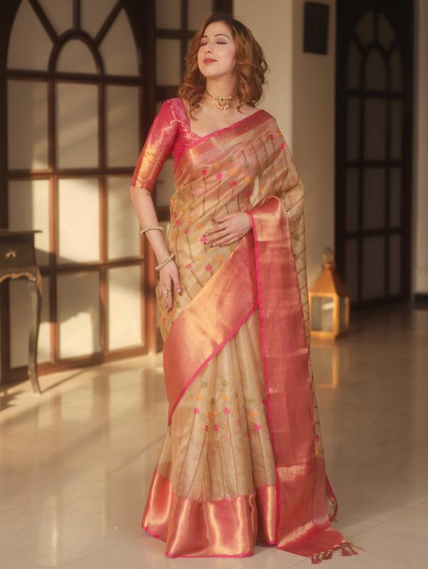 Tissue Embroidery Saree - Golden Beige Colour